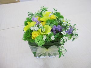 春の花