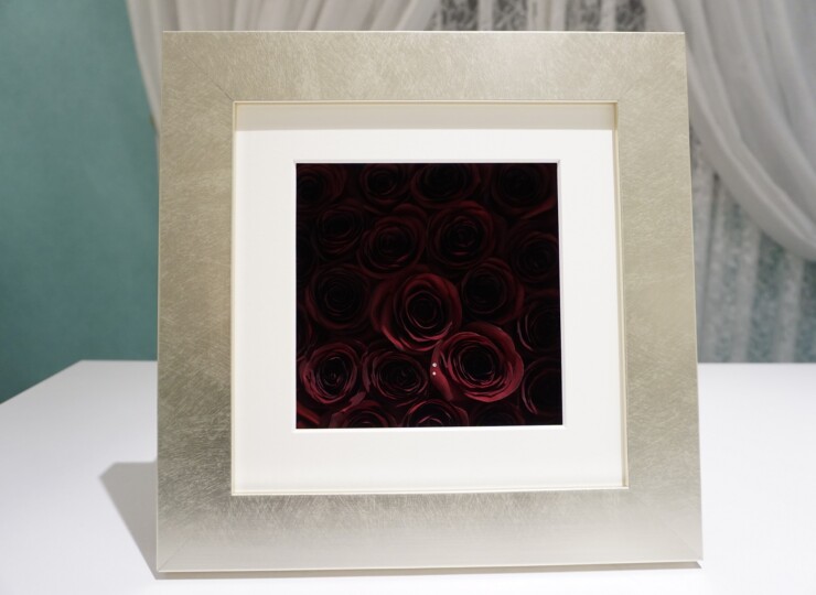 metallic-frame