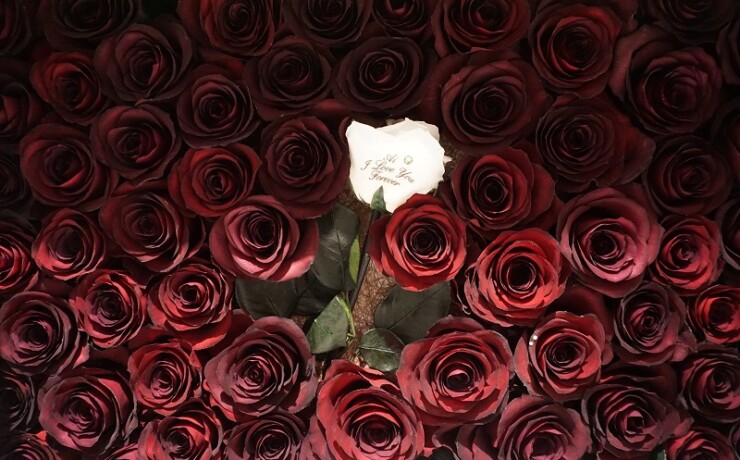 ブーケ保存加工ブログ ブーケ保存 プロポーズ花束保存 名古屋 アトリエ由花