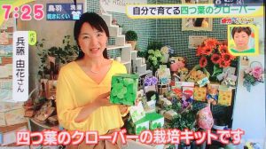 テレビ雑誌取材紹介｜ドデスカ！ゆかさん