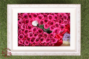 結婚式サプライズメッセージも一緒に永久保存｜完成全体