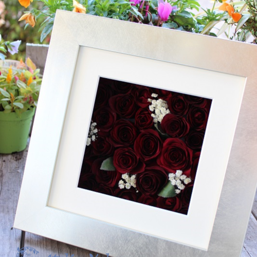 metallic-frame