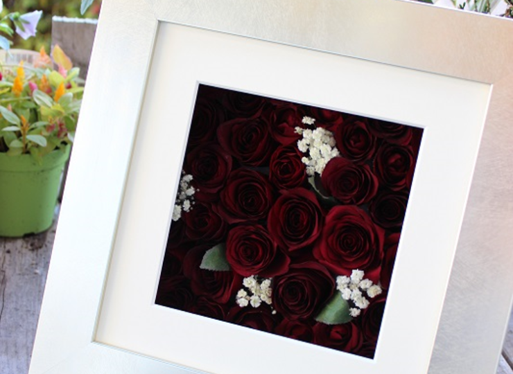 metallic-frame