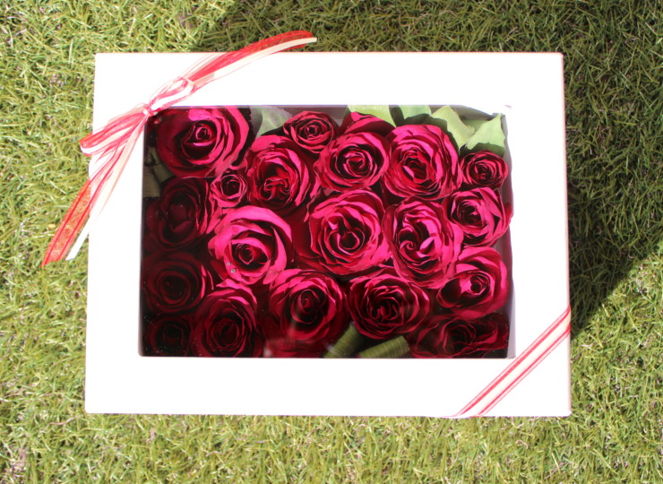 cashmere-box
