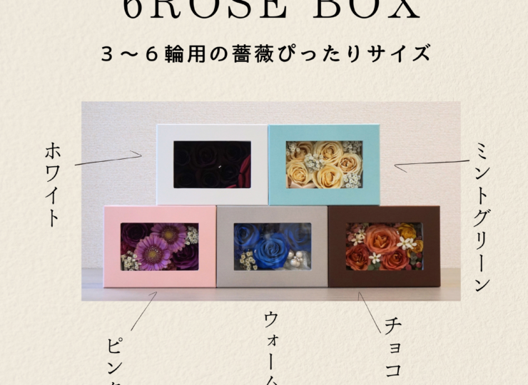 6ROSEBOX